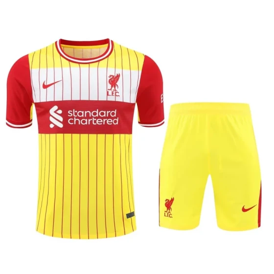 24-25 Liverpool Training Wear Yellow Suit Shirt