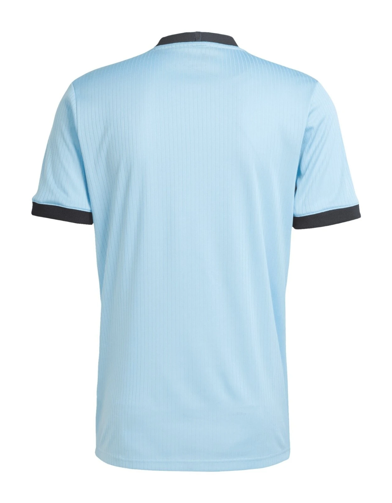 Germany 125th Anniversary Blue Goalkeeper Shirt Player Version 2025