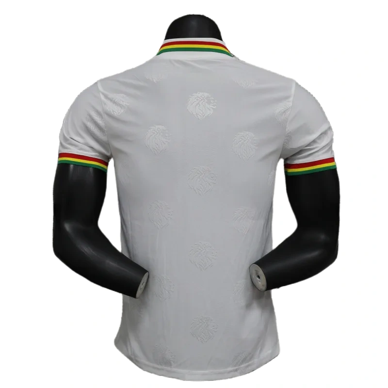 2024/2025 Senegal Special Edition Senegal Football Jersey for Players