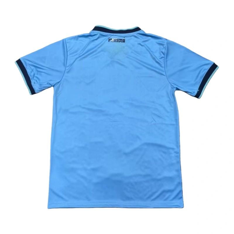 25-26 Panama team second Away Football jersey Fan edition