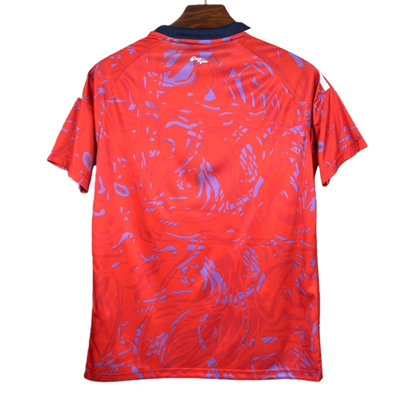 2026 Costa Rica World Cup Home Football jersey Fan edition