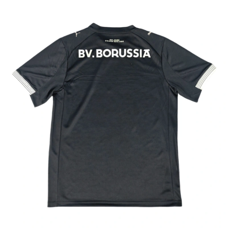 2025-26 Borussia Dortmund 100th Anniversary Rote Erde Special Edition Football jersey Fan Version